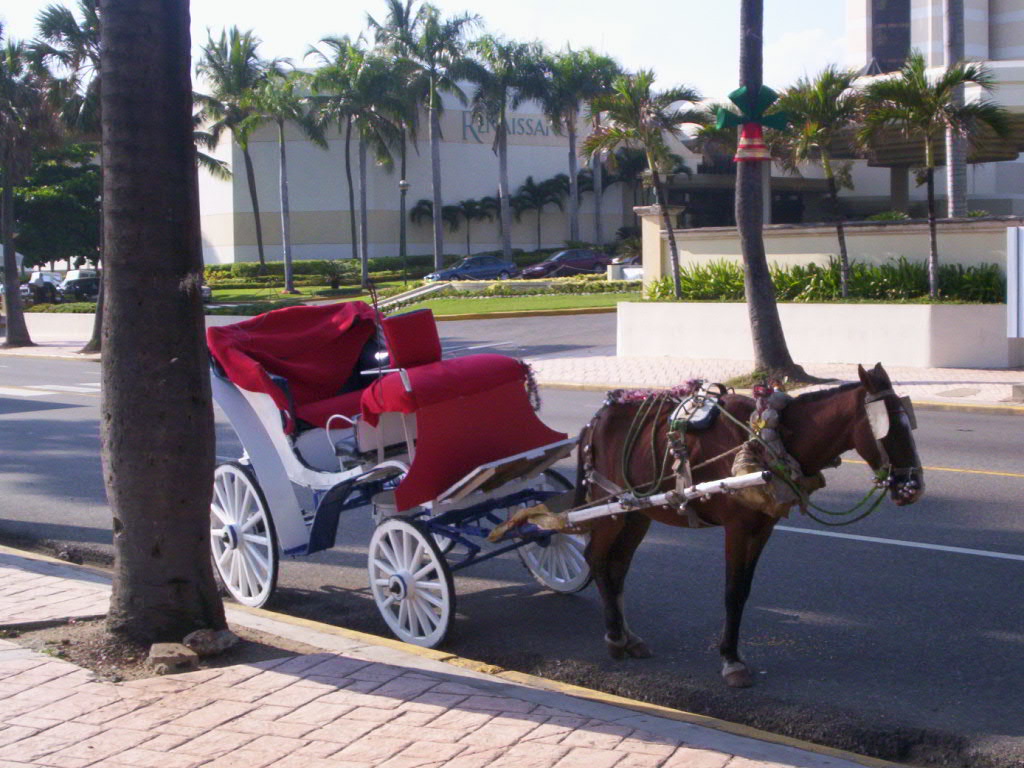 Foto de Santo Domingo, Republica Dominicana, República Dominicana