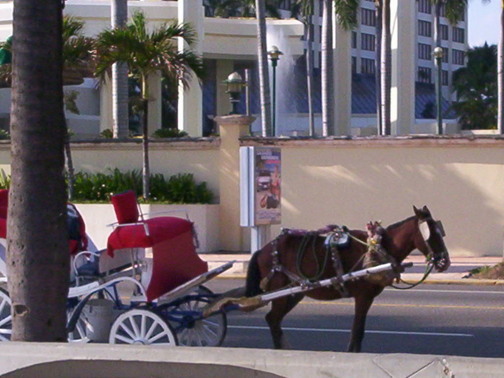 Foto de Santo Domingo, Republica Dominicana, República Dominicana