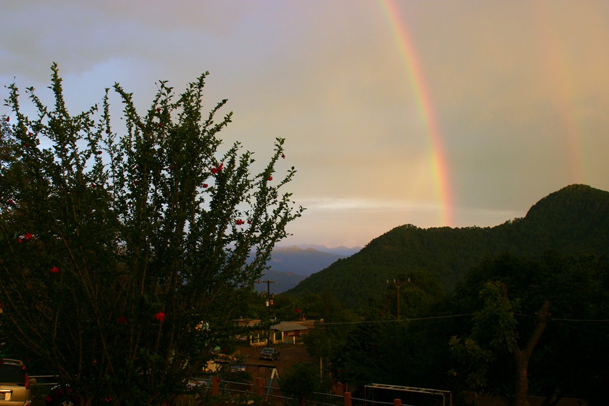 Foto de EL PALMITO, SINALOA, México