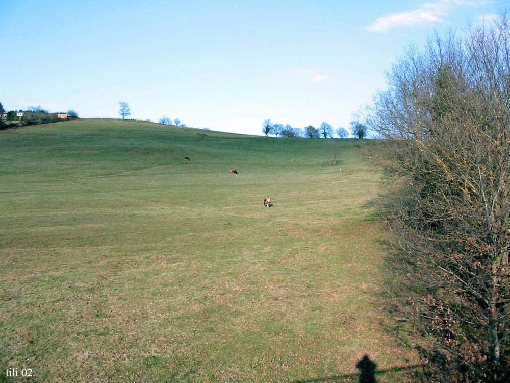 Foto de Oviedo (Asturias), España