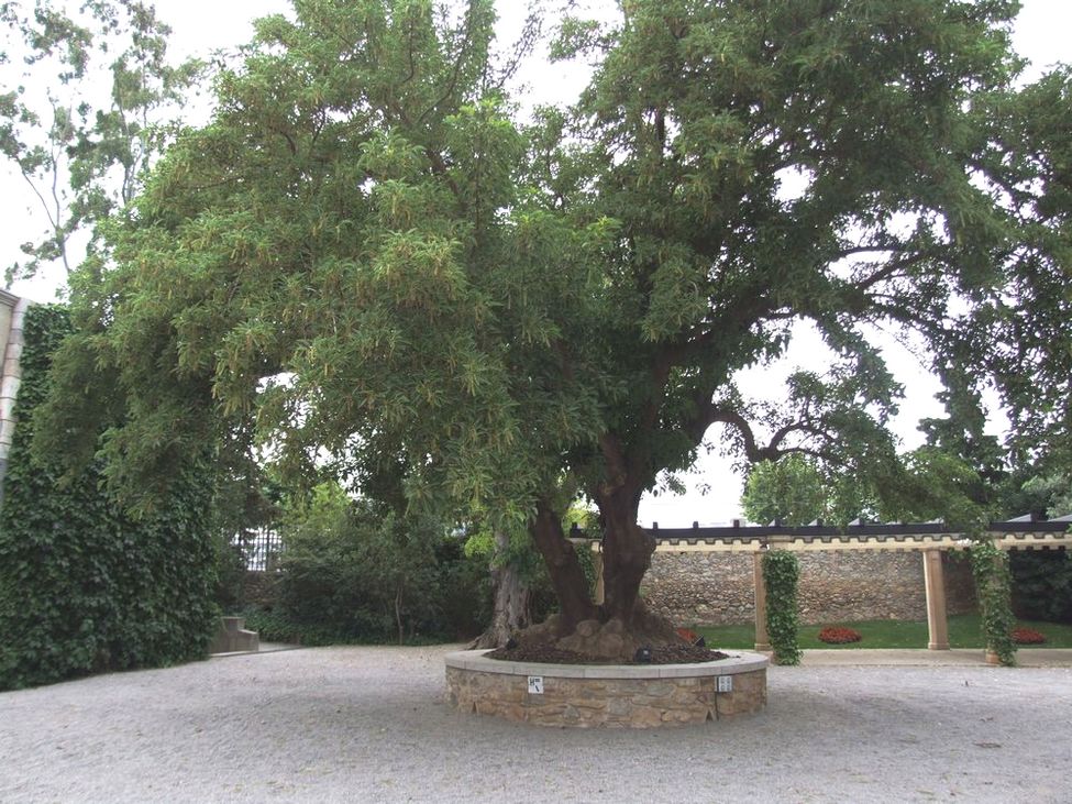 Foto de Peralada (Girona), España