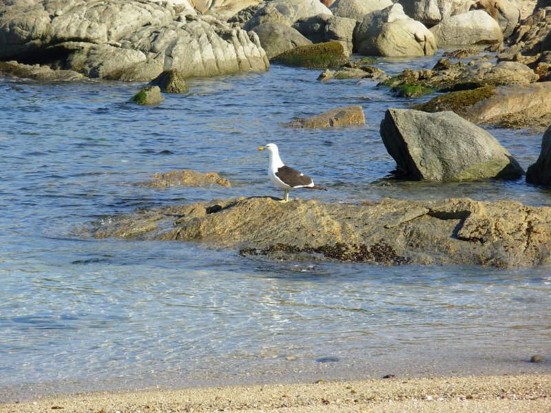 Foto de QUINTERO, Chile