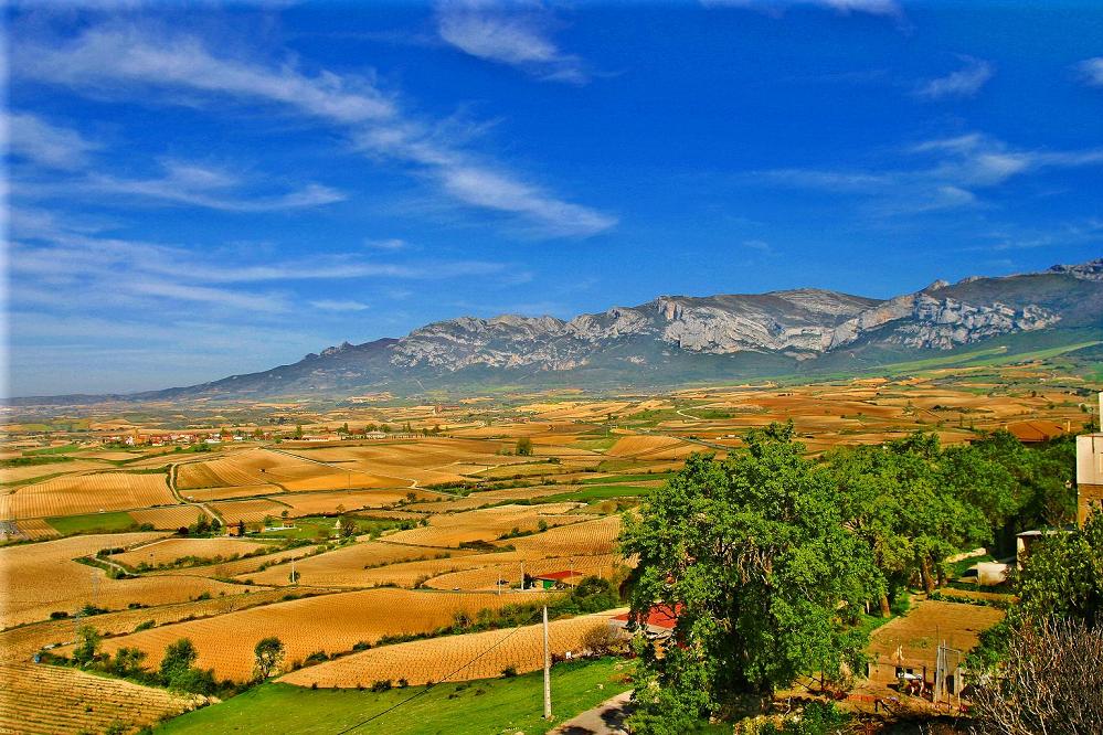 Foto de Laguardia (Álava), España