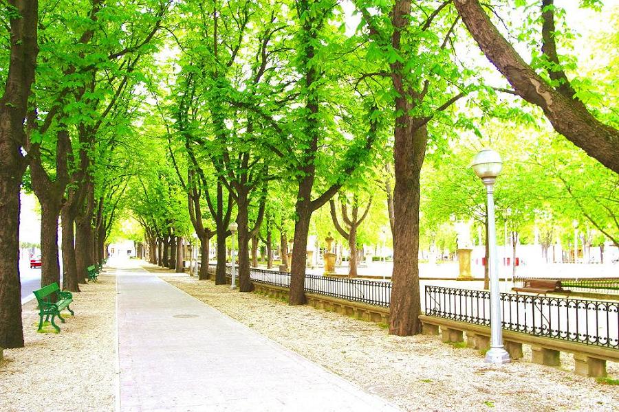 Foto de Vitoria-Gasteiz (Álava), España
