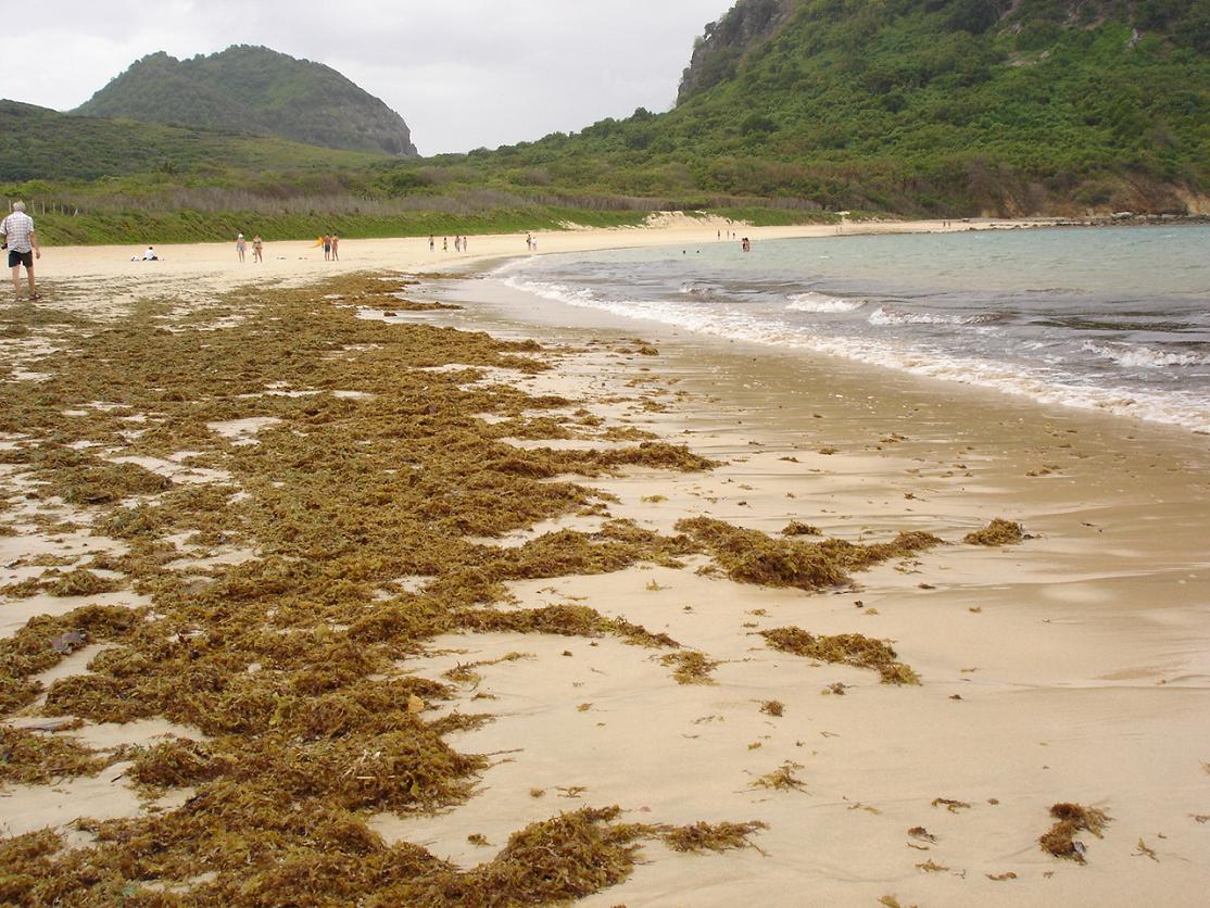 Foto de Fernando de Noronha, Brasil