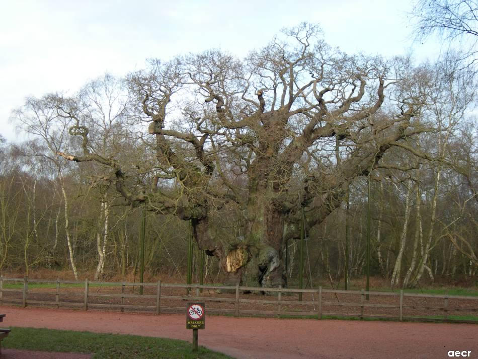 Foto de Nottingham, El Reino Unido