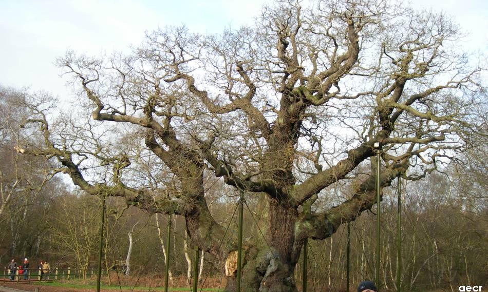 Foto de Nottingham, El Reino Unido