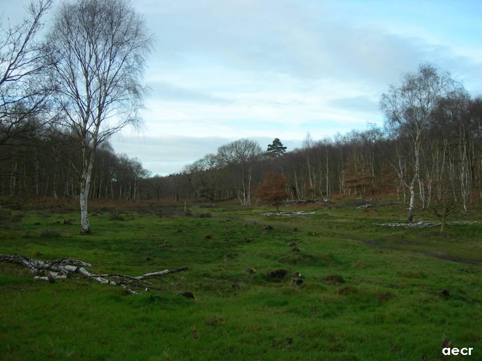 Foto de Nottingham, El Reino Unido