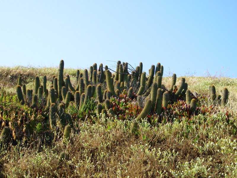Foto de QUINTERO, Chile