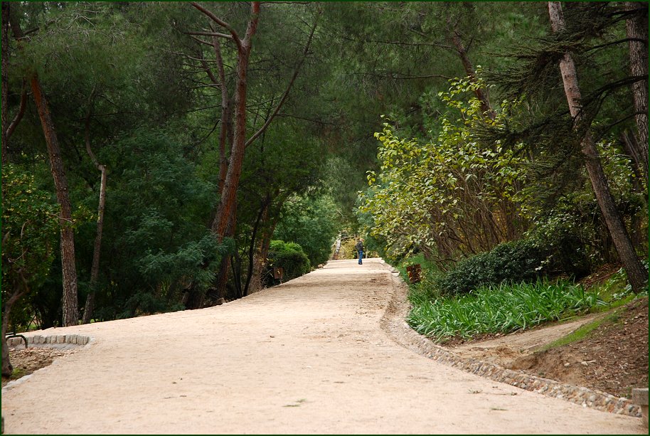 Foto de Madrid (Comunidad de Madrid), España