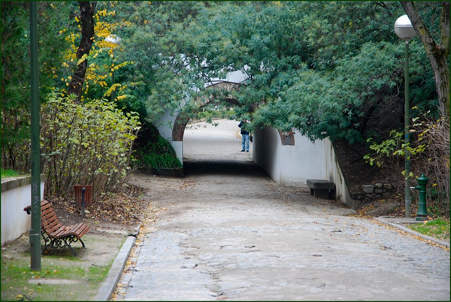 Foto de Madrid (Comunidad de Madrid), España