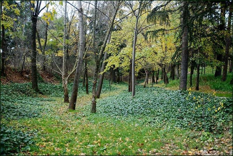Foto de Madrid (Comunidad de Madrid), España