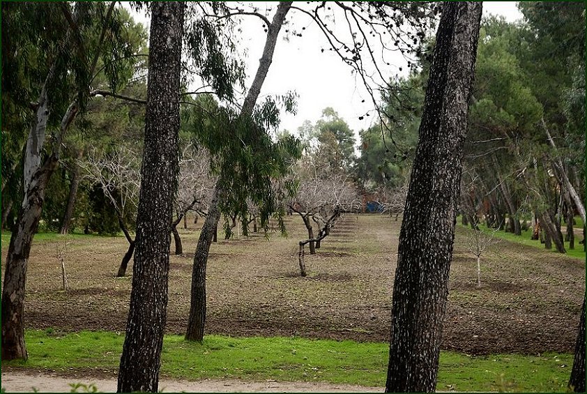 Foto de Madrid (Comunidad de Madrid), España