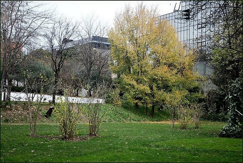 Foto de Madrid (Comunidad de Madrid), España