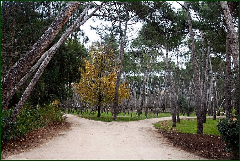 Foto de Madrid (Comunidad de Madrid), España