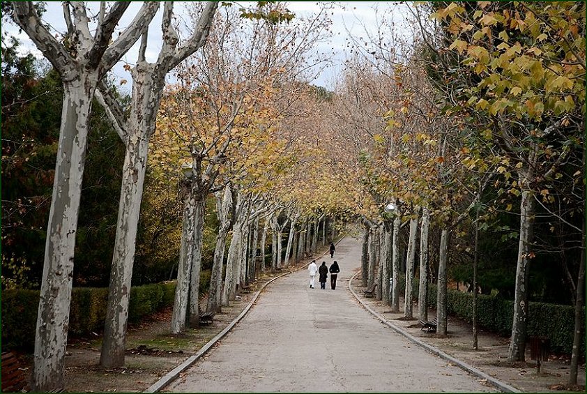 Foto de Madrid (Comunidad de Madrid), España