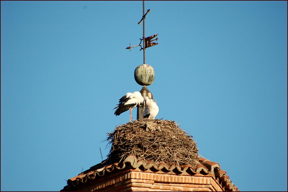 Foto de Alcalá de Henares (Madrid), España