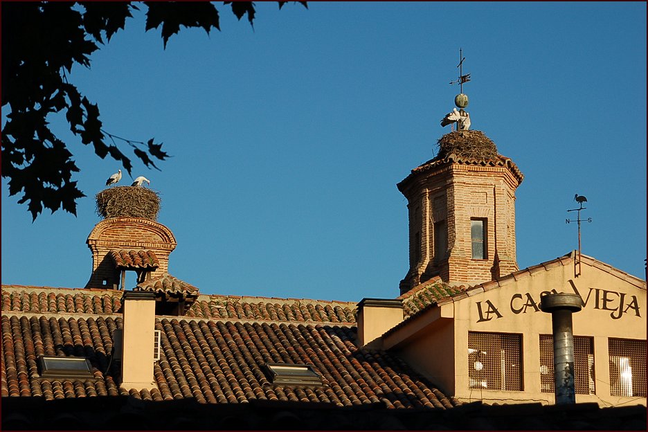 Foto de Alcalá de Henares (Madrid), España