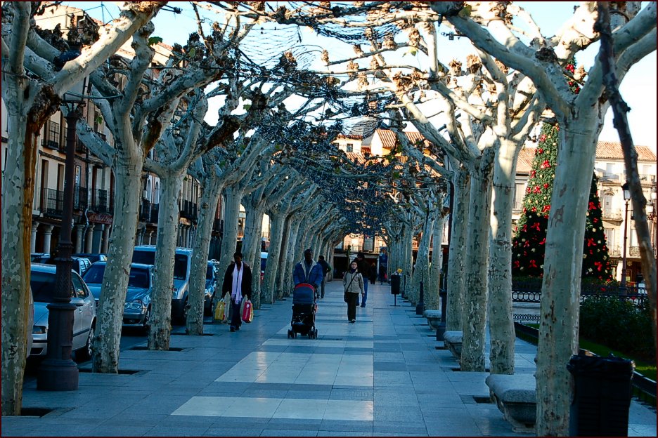 Foto de Alcalá de Henares (Madrid), España