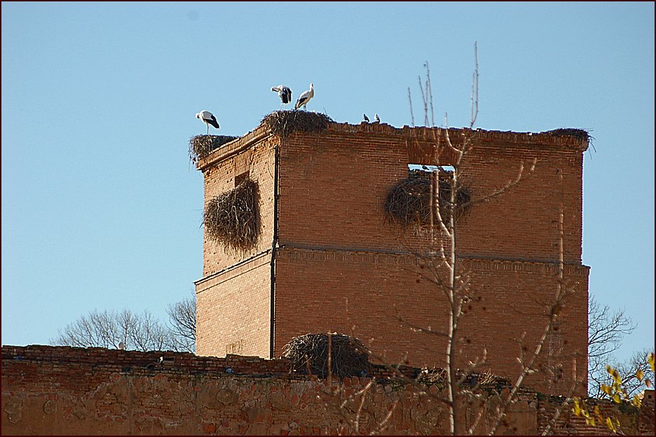 Foto de Alcalá de Henares (Madrid), España