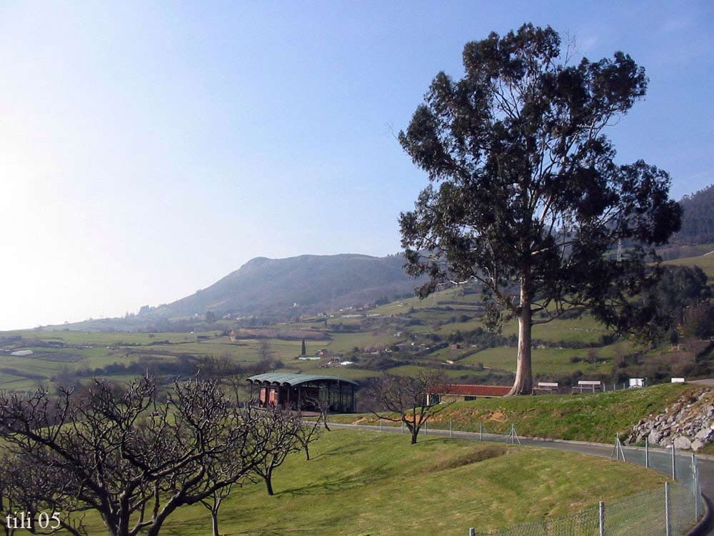 Foto de Oviedo (Asturias), España