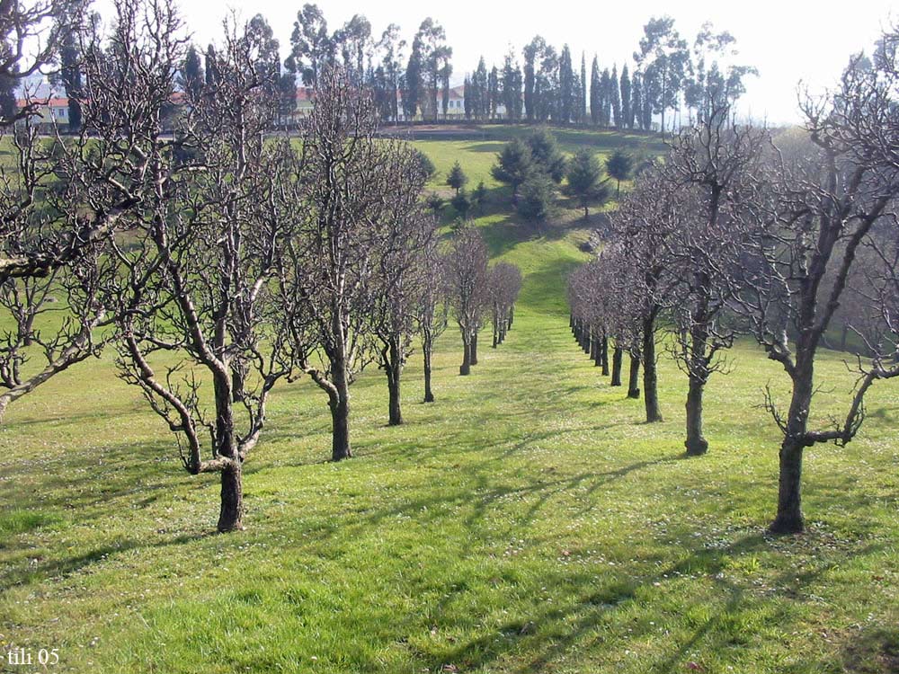 Foto de Oviedo (Asturias), España
