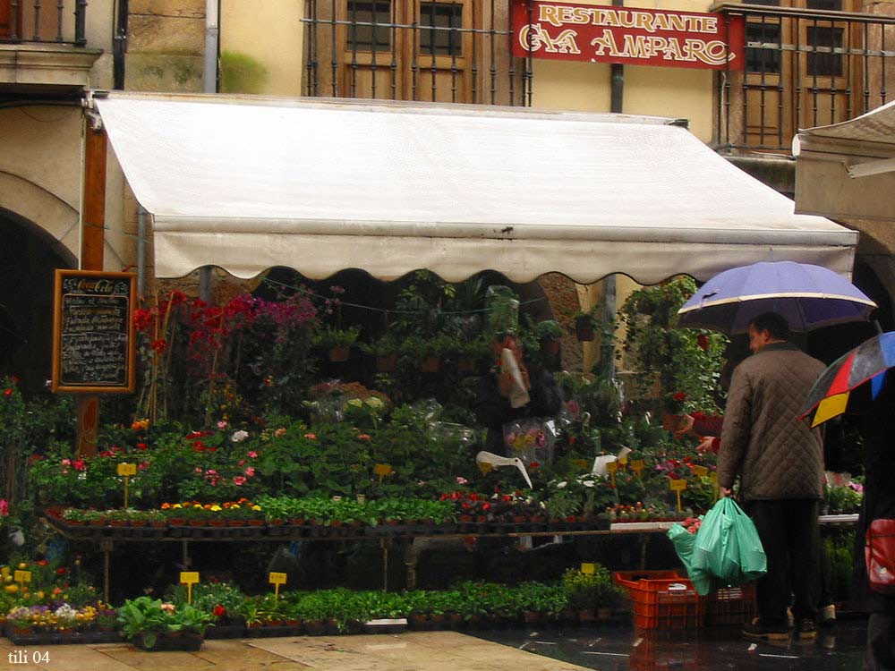 Foto de Oviedo (Asturias), España