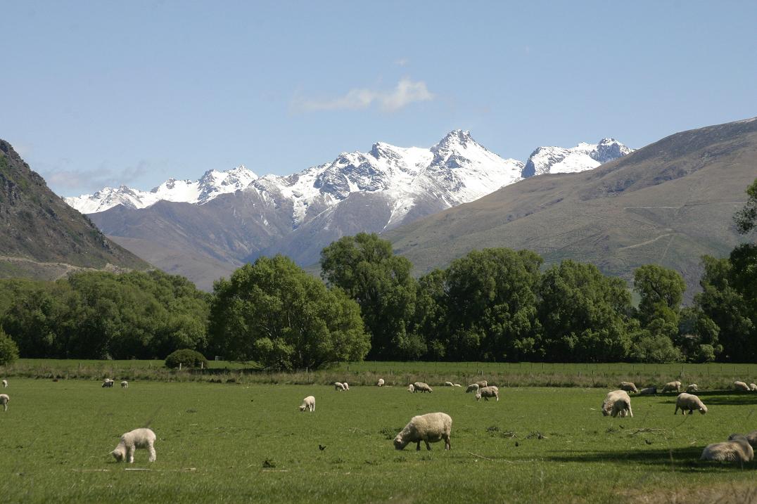 Foto de Five Rivers, Nueva Zelanda