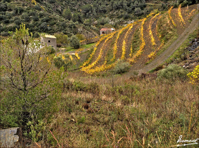 Foto de Escaladei (Tarragona), España
