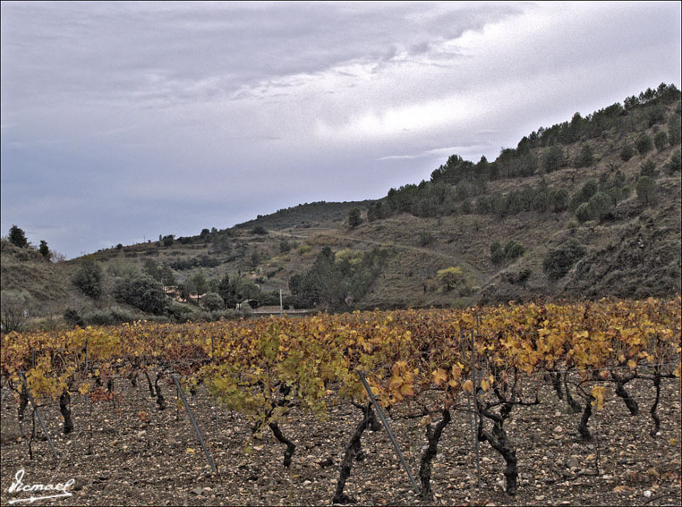 Foto de Escaladei (Tarragona), España