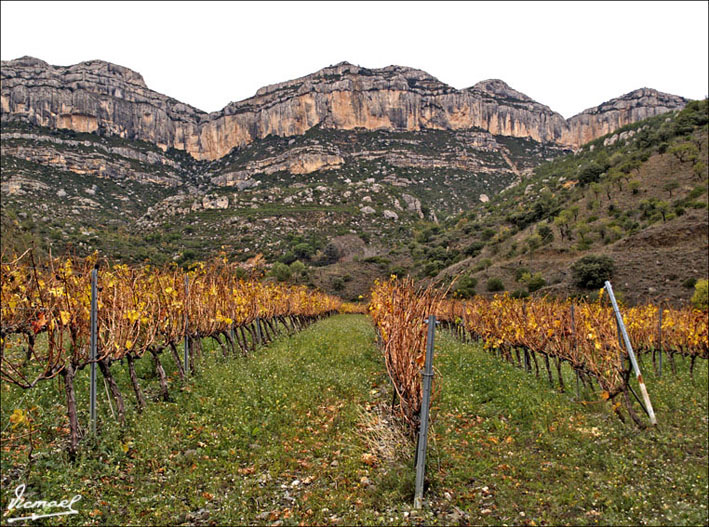 Foto de Escaladei (Tarragona), España
