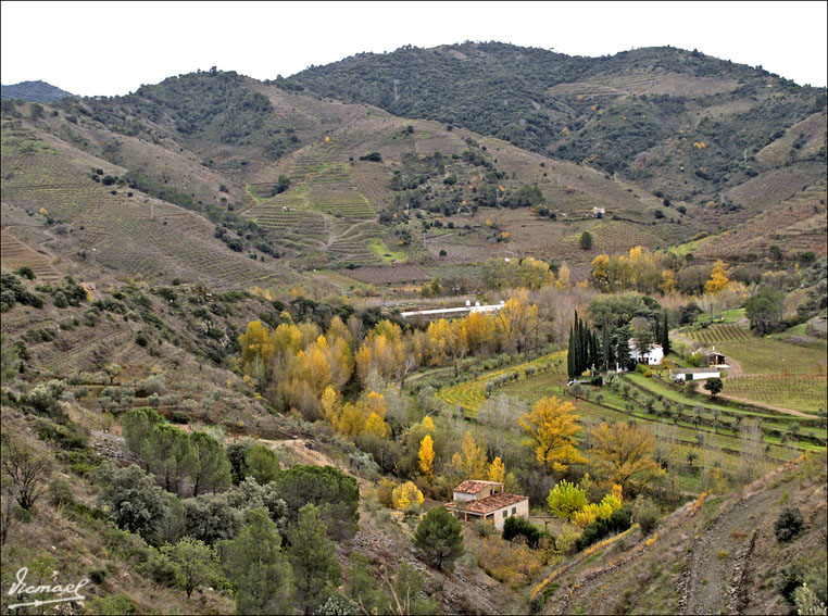Foto de Escaladei (Tarragona), España