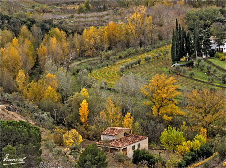 Foto de Escaladei (Tarragona), España