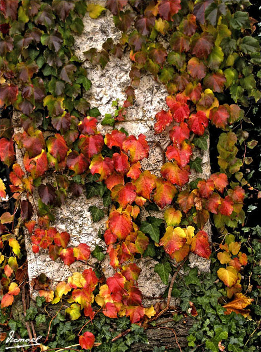 Foto de San Sadurní de Noya (Barcelona), España