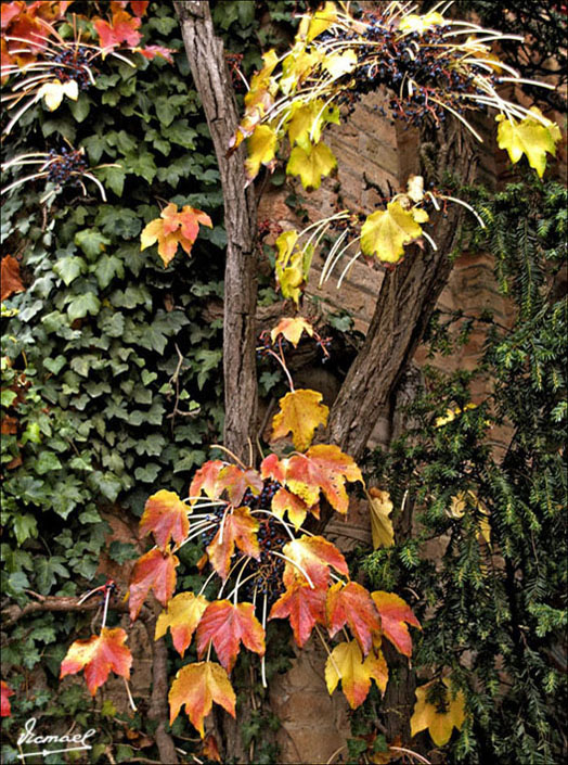 Foto de San Sadurní de Noya (Barcelona), España