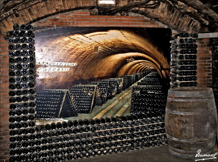 Foto de San Sadurní de Noya (Barcelona), España