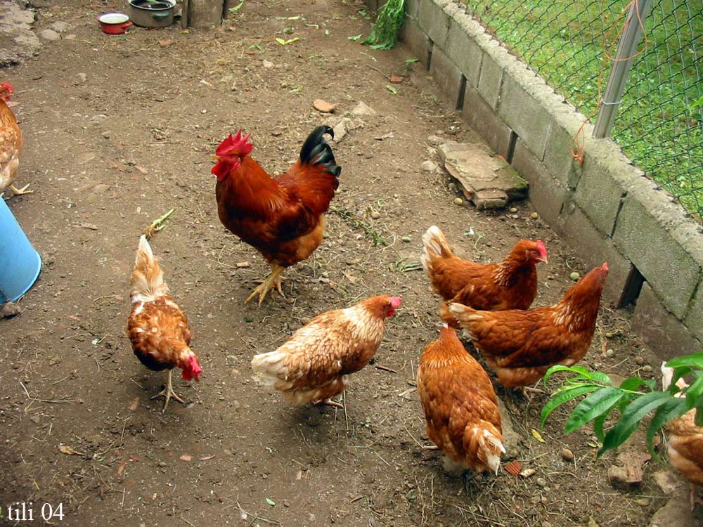 Foto de Pravia (Asturias), España