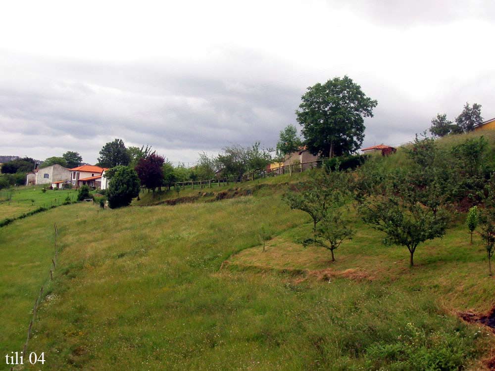 Foto de Pravia (Asturias), España