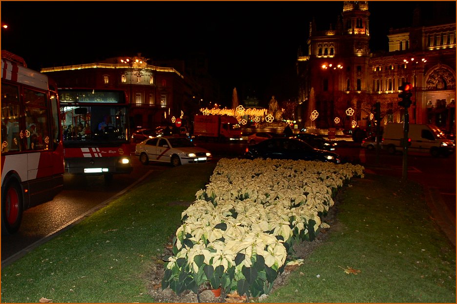 Foto de Madrid (Comunidad de Madrid), España