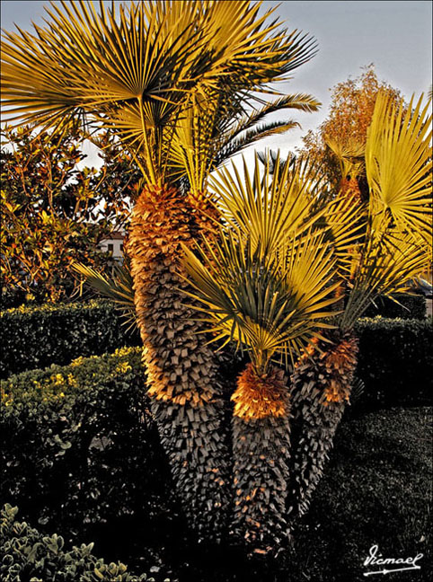 Foto de Roc de San Cayetano (Tarragona), España