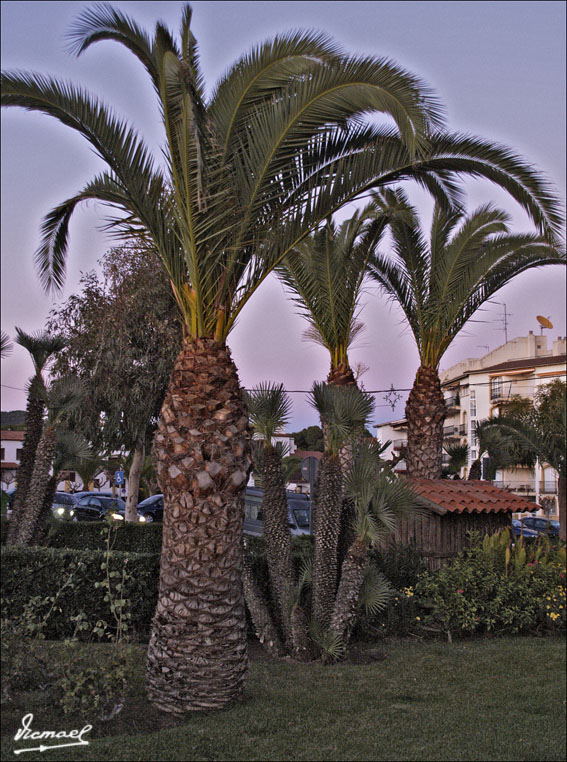 Foto de Roc de San Cayetano (Tarragona), España