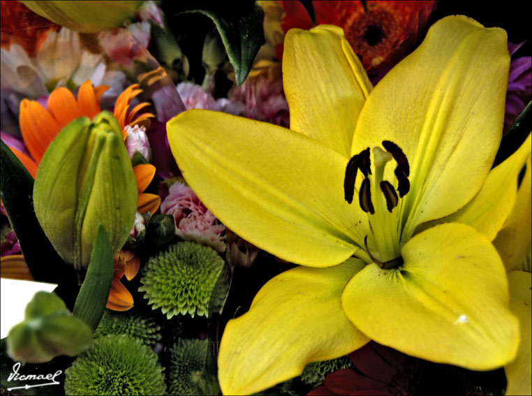 Foto de Tarragona (Cataluña), España