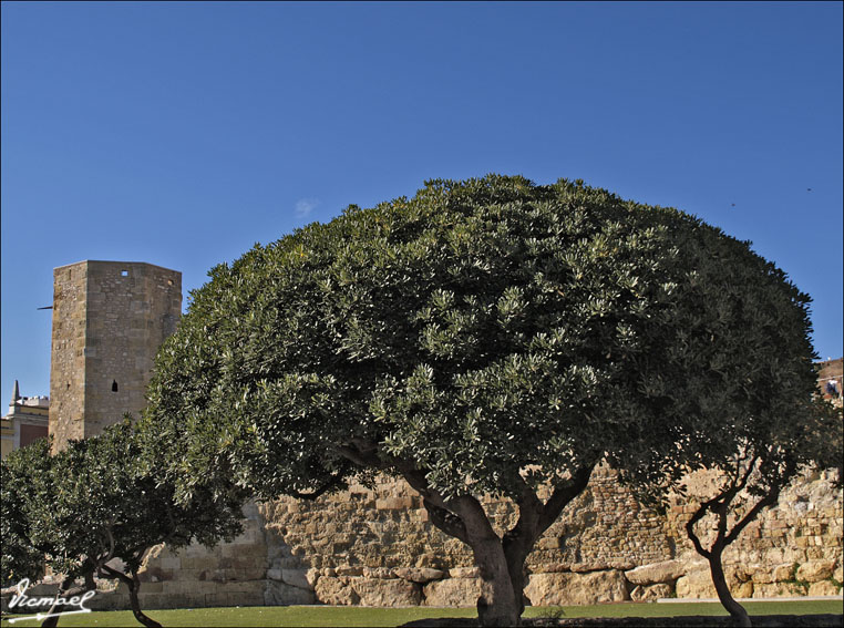 Foto de Tarragona (Cataluña), España