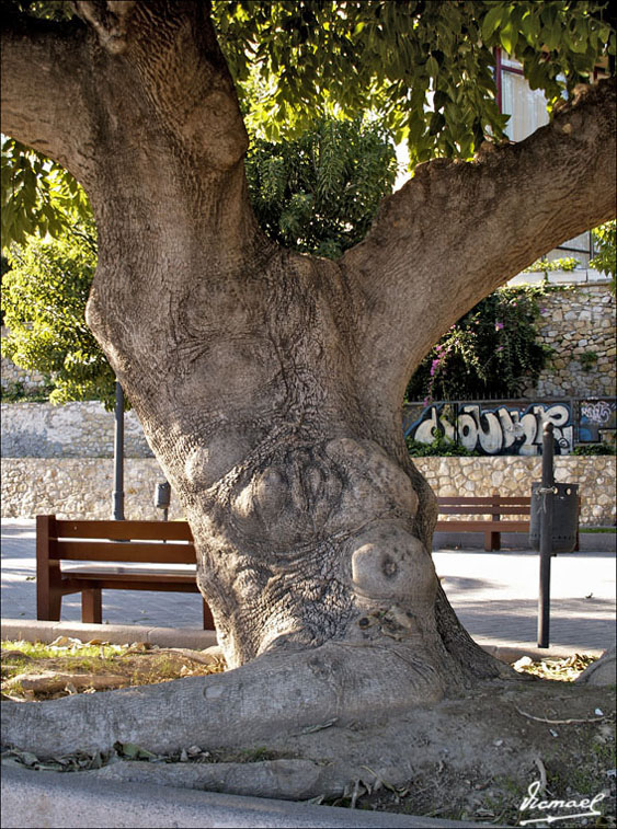Foto de Tarragona (Cataluña), España