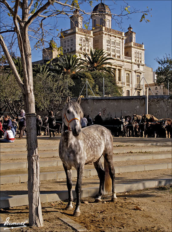 Foto de Arboc (Tarragona), España