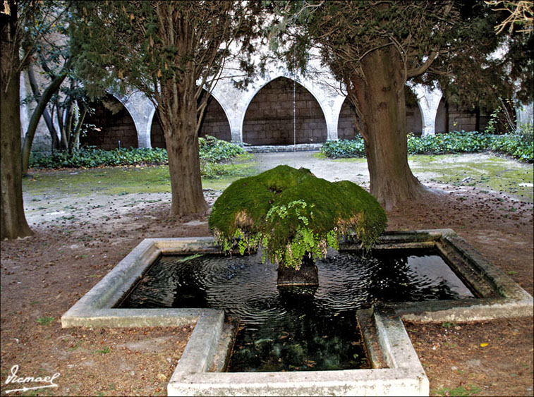 Foto de Santes Creus (Tarragona), España