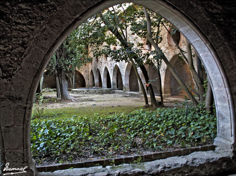 Foto de Santes Creus (Tarragona), España