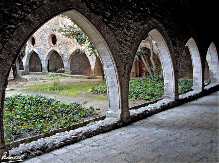 Foto de Santes Creus (Tarragona), España