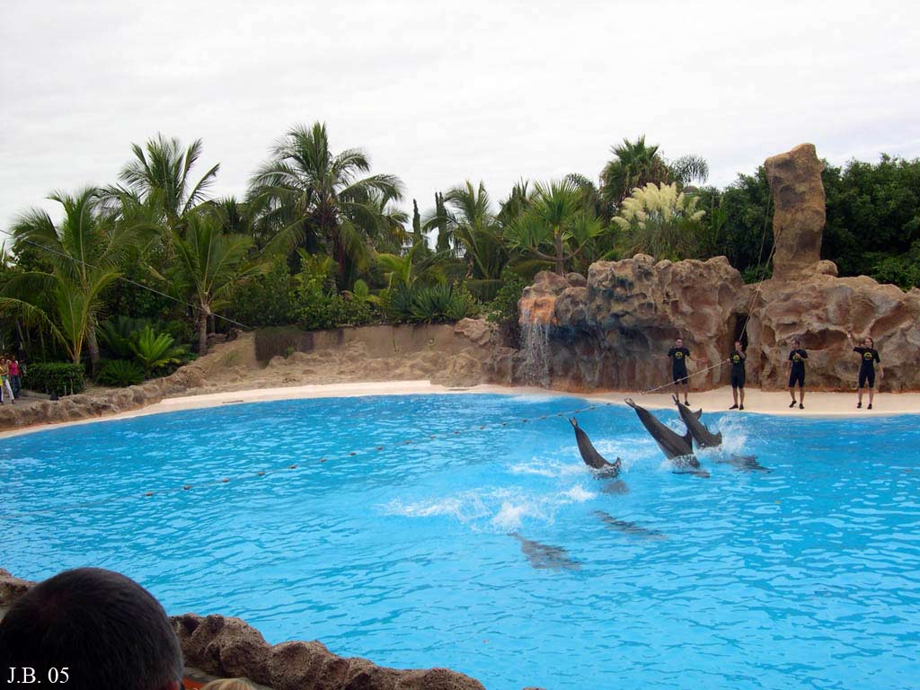 Foto de Tenerife (Santa Cruz de Tenerife), España