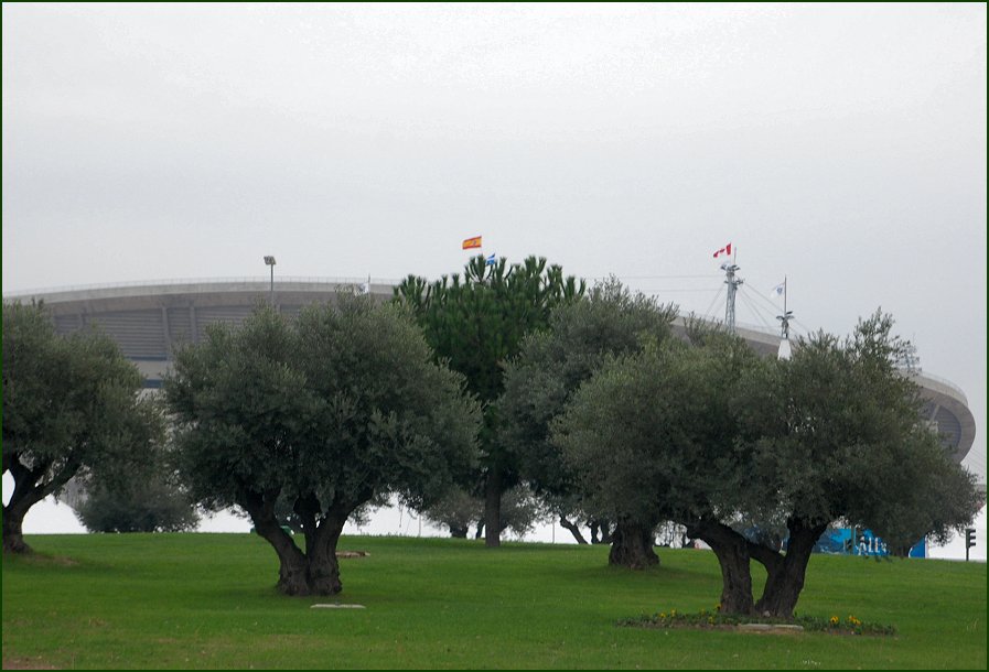 Foto de Madrid (Comunidad de Madrid), España